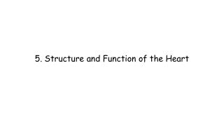 5. Structure and Function of the Heart