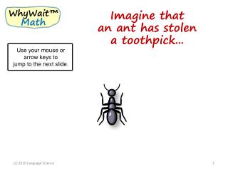 Imagine that an ant has stolen a toothpick...