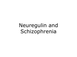Neuregulin and Schizophrenia