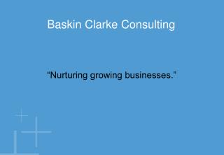 Baskin Clarke Consulting