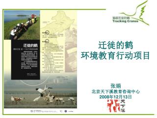 迁徙的鹤 环境教育行动项目 张娟 北京天下溪教育咨询中心 2008 年 12 月 13 日