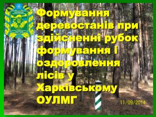 Формування деревостанів при здійсненні рубок формування і оздоровлення лісів у Харківському ОУЛМГ