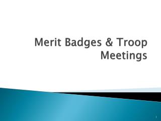 Merit Badges &amp; Troop Meetings