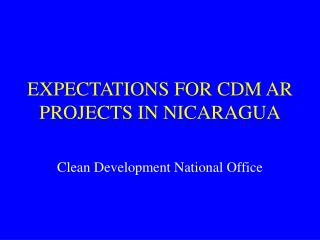 EXPECTATIONS FOR CDM AR PROJECTS IN NICARAGUA