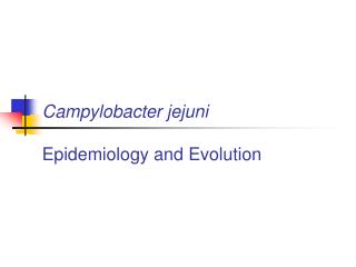 Campylobacter jejuni Epidemiology and Evolution