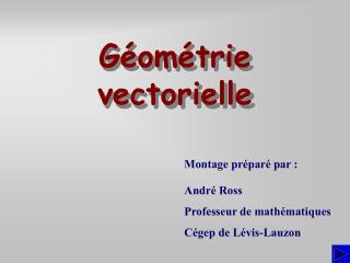 Géométrie vectorielle