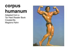 corpus humanum Adapted from a Tar Heel Reader Book Created By Magistra Hahn