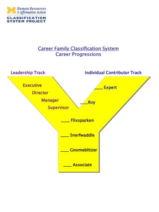 Career Family Classification System Career Progressions
