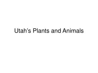 Utah’s Plants and Animals