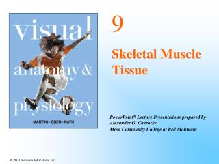9 Skeletal Muscle Tissue