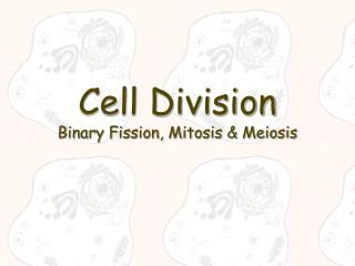 Cell Division Binary Fission, Mitosis &amp; Meiosis