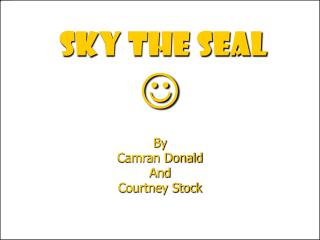 SKY THE SEAL 