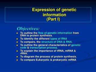 Objectives: To outline the flow of genetic information from DNA to protein synthesis.