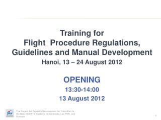 Training for Flight Procedure Regulations, Guidelines and Manual Development