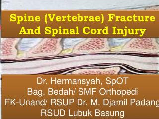 Spine (Vertebrae) Fracture And Spinal Cord Injury
