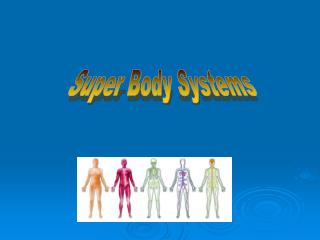Super Body Systems