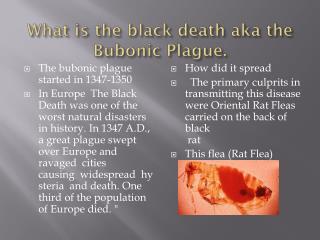 The bubonic plague started in 1347-1350