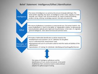 Belief Statement Intelligence/Gifted /Identification