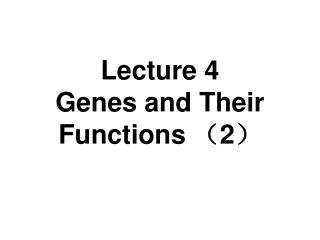 Lecture 4 Genes and Their Functions （ 2 ）