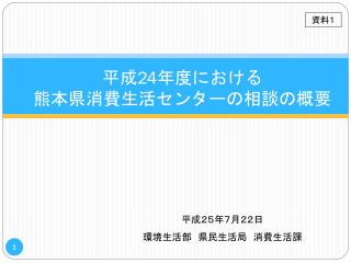 平成 24 年度における 熊本県消費生活センターの相談の概要