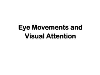 Eye Movements and Visual Attention
