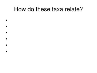 How do these taxa relate?