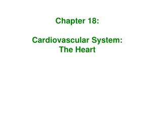 Chapter 18: Cardiovascular System: The Heart