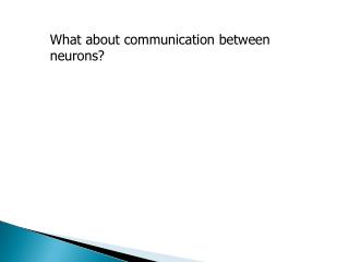 What about communication between neurons?