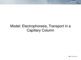 Model: Electrophoresis, Transport in a Capillary Column