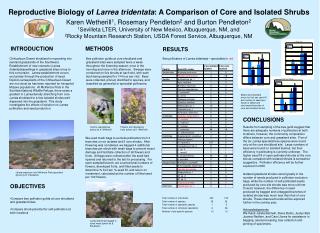 Reproductive Biology of Larrea tridentata : A Comparison of Core and Isolated Shrubs