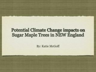 Potential Climate Change impacts on Sugar Maple Trees in NEW England