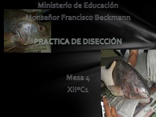 Ministerio de Educación Monseñor Francisco Beckmann Practica de Disección Mesa 4 XIIºC1