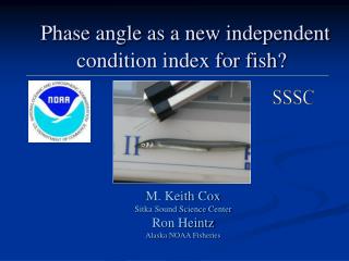 Phase angle as a new independent condition index for fish?