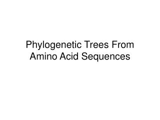Phylogenetic Trees From Amino Acid Sequences
