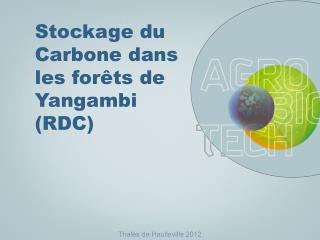 Stockage du Carbon e dans les for êts de Yangambi (RDC)