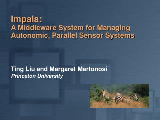 Impala: A Middleware System for Managing Autonomic, Parallel Sensor Systems