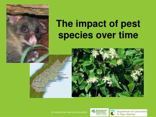 The impact of pest species over time