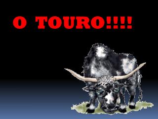 O TOURO!!!!