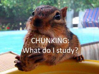 CHUNKING: What do I study?