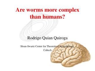 Are worms more complex than humans?
