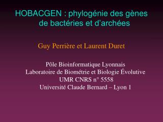 HOBACGEN : phylogénie des gènes de bactéries et d’archées Guy Perrière et Laurent Duret