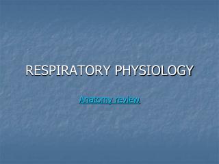 RESPIRATORY PHYSIOLOGY Anatomy review