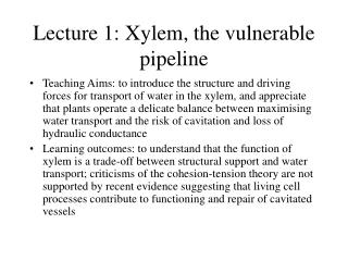 Lecture 1: Xylem, the vulnerable pipeline