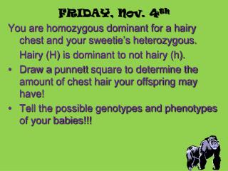 FRIDAY, Nov. 4 th You are homozygous dominant for a hairy chest and your sweetie’s heterozygous.