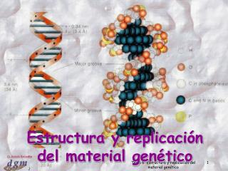 Estructura y replicación del material genético