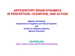 ANTICIPATORY BRAIN DYNAMICS IN PERCEPTION, COGNITION, AND ACTION