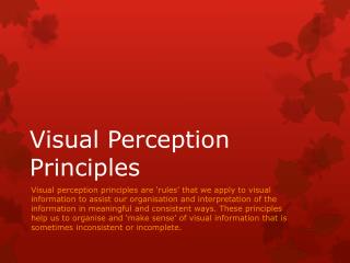 Visual Perception Principles