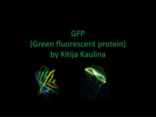 GFP ( Green fluorescent protein) by Kitija Kaulina