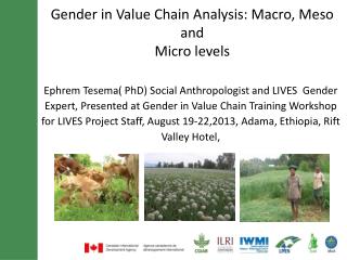 Gender in Value Chain Analysis: Macro, Meso and Micro levels
