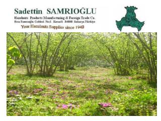 COMPANY PROFILE Company Name Sadettin Samrıoğlu ( Sole Owner- Aytaç Samrıoğlu )